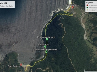 Fotografía satelital mostrando el sendero recorrido (en amarillo), y los puntos donde se realizaron las observaciones (en verde).
