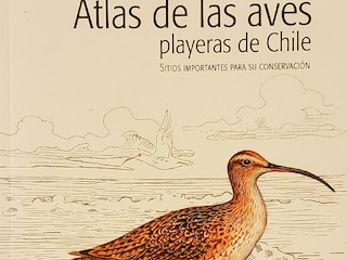 Atlas de las Aves Playeras de Chile: Sitios importantes para su conservación, de de Julián García Walther, Nathan Senner, Heraldo Norambuena y Fabrice Schmitt.