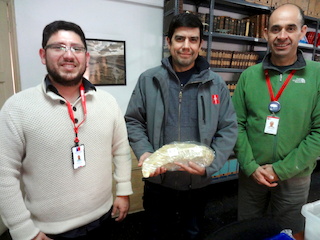 (Izq. a der.) Alejandro Cornejo, Encargado del Área de Patrimonio Natural del Consejo de Monumentos Nacionales; David Rubilar, Jefe de Paleontología del MNHN; y Cristian Becker, Jefe Curatorial y Científico del MNHN. (Izq. a der.) Alejandro Cornejo, Encargado del Área de Patrimonio Natural del Consejo de Monumentos Nacionales; David Rubilar, Jefe de Paleontología del MNHN; y Cristian Becker, Jefe Curatorial y Científico del MNHN.