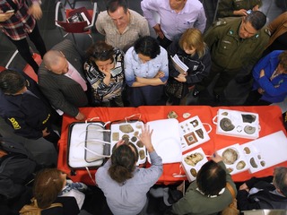 Detalle del taller de fósiles