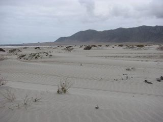 Vista hacia el norte de la playa de Chañaral, en octubre de 2012 (M. Elgueta), actualmente presenta zonas con coloración parda debida al arrastre de materiales por el río Salado.