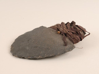 Foto en detalle de una azada lítica de la colección Aníbal Echeverría y Reyes del MNHN (Foto: Felipe Infante).