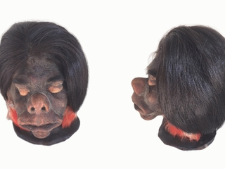 Cabeza reducida con aros de plumas donada al museo por Roberto Kellerman en 1960.