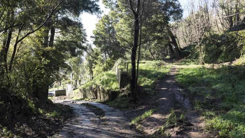 Imagen del monumento Cerro Colo Colo