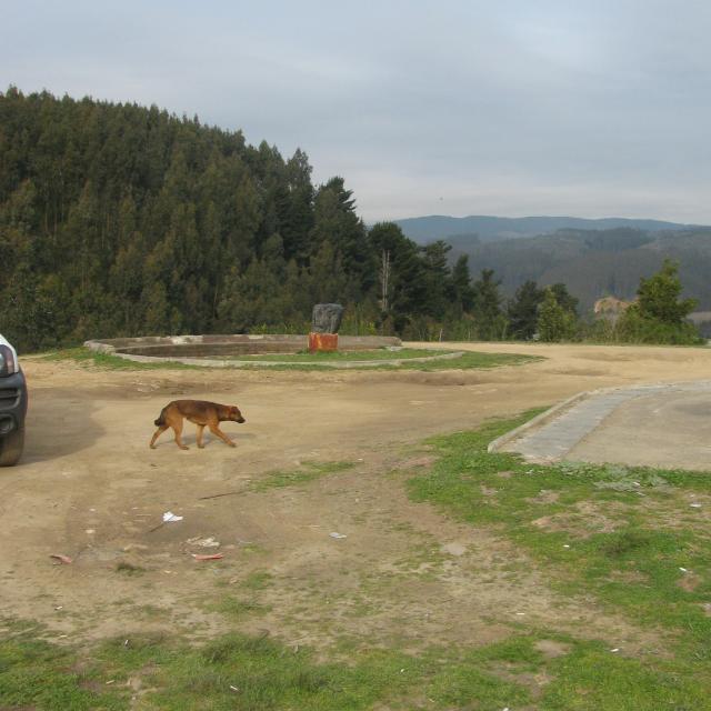 Imagen del monumento Fuerte de Colcura