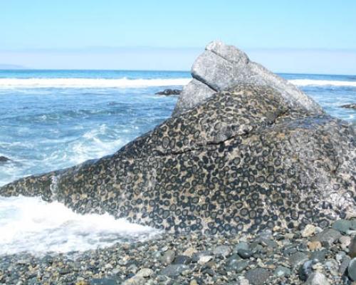Imagen del monumento Terreno de 2,34 ha, ubicado en el Rodillo