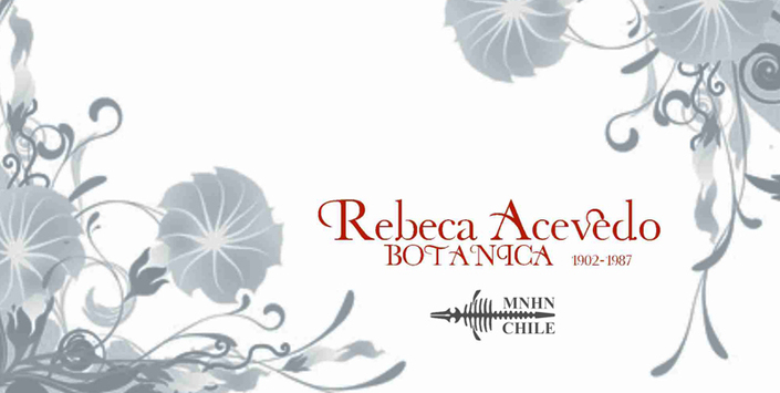 Rebeca Acevedo San Martín