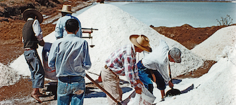 Apile, ensacado y pesaje de la sal