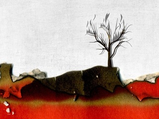 Las Lecciones del Fuego