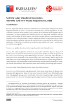 Sobre la vida y el poder de las piedras: Newenke kura en el Museo Mapuche de Cañete