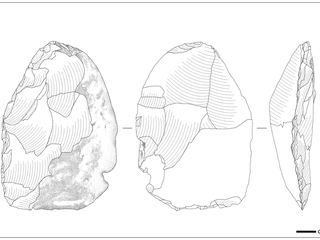 Ilustración de Paulina Chávez