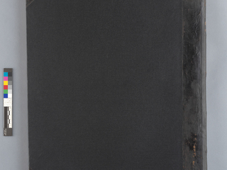 Tapa posterior frontal después del tratamiento