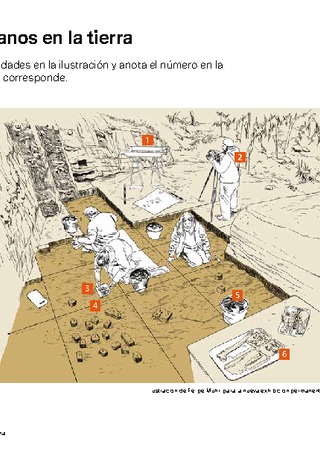 Excavación arqueológica