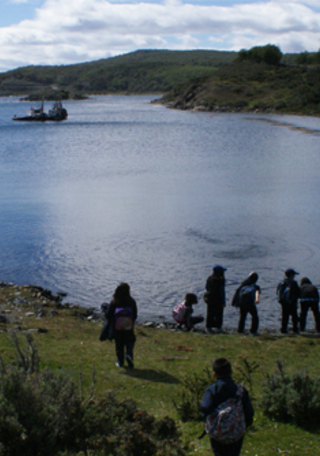 Salida a terreno, Bahía Mejillones (Isla Navarino).