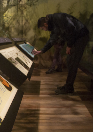 Museo de Historia Natural de Valparaíso