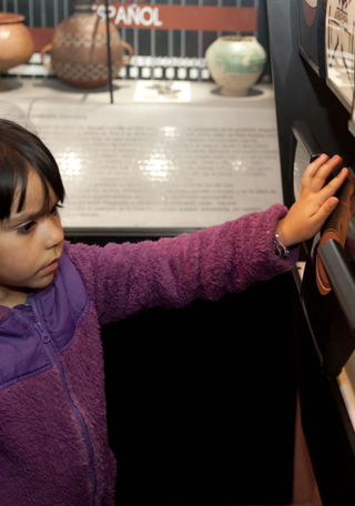 Paneles interactivos