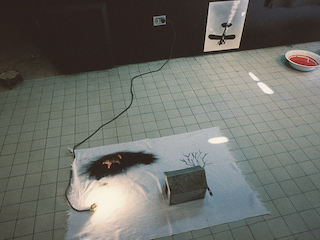 Carlos Leppe, “Proyecto de demolición de la cordillera de los Andes”. Cortesía D21 Proyectos de Arte.