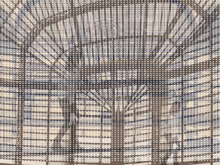 Exposición Reflejo Sonoro. Biotronik 2.0