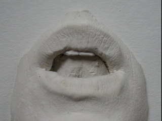 detalle obra en exposición