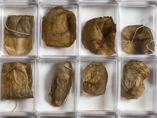 Detalle de obra Angélica Pérez