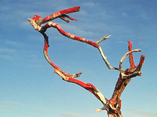 imagen_portada imagen_portada