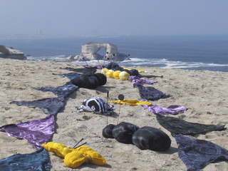 Obra Bichos al vacío, una de las ganadoras