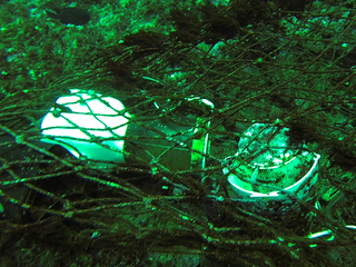 Detalle de obra en exposición Doméstica