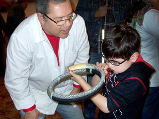 Descubriendo el sonido de los instrumentos mapuche