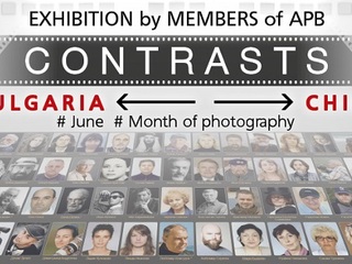 Exposición Temporal "Contrastes"