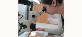 Título entre 66 y 75 caracteres (sin punto final y con mayúsculas y minúsculas)