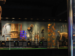 Sala Ecosistemas Regionales y Eje Cultural