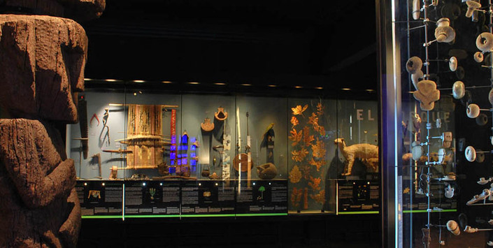 Sala Ecosistemas Regionales y Eje Cultural