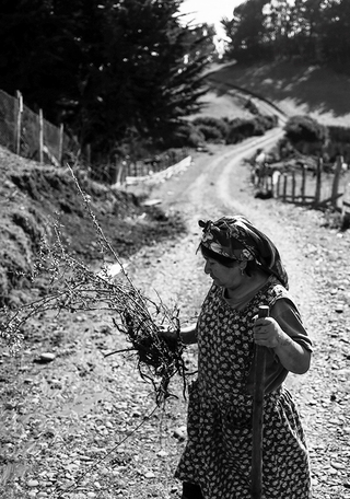 Detalle, fotografía de Luis Sergio
