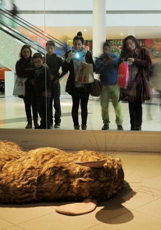 Detalle de obra de Sebastián Silvat. Foto de Claudio Quiroz.