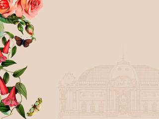 Cursos área de Mediación y educación