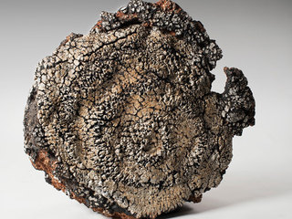 Detalle de obra en exposición.