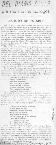Asunto de pájaros