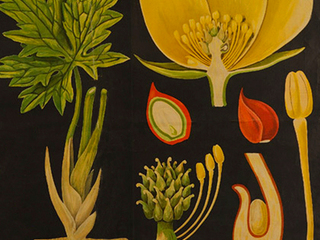 imagen imagen_valor.jpg