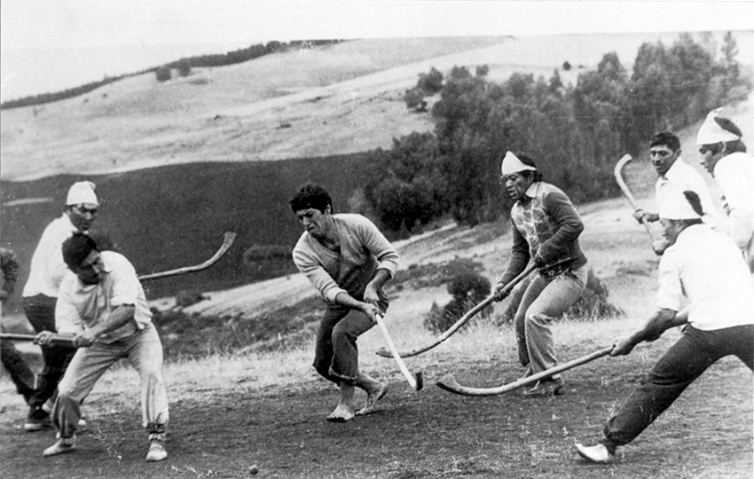 imagen imagen_portada.jpg