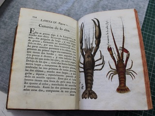 imagen imagen_portada.jpg