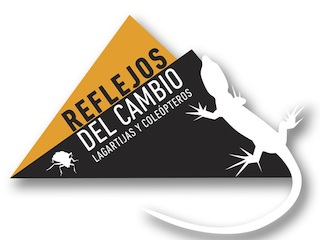 imagen imagen_portada.jpg