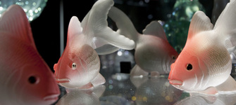 imagen imagen_portada.jpg