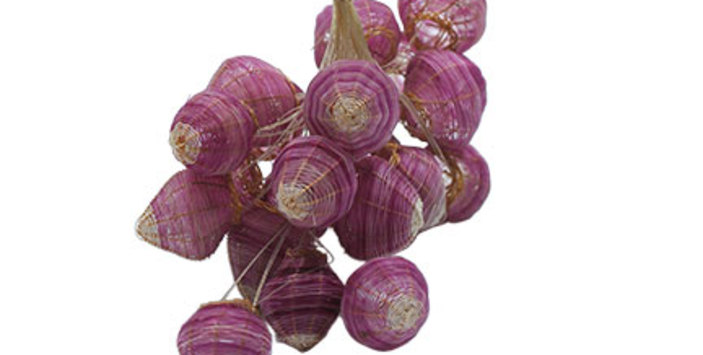 Ramo de flores, Rari