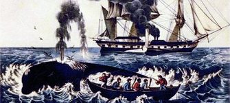 Bote ballenero atacando una ballena