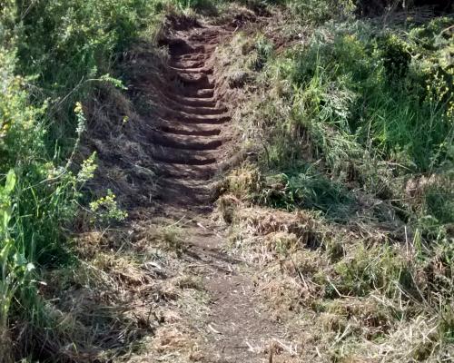 Sector del Cerro Puntilla de Los Perales Imagen del monumento Sector del Cerro Puntilla de Los Perales