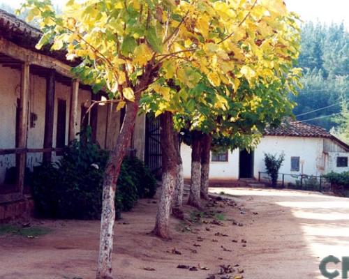 Imagen del monumento Pueblo de San Pedro de Alcántara
