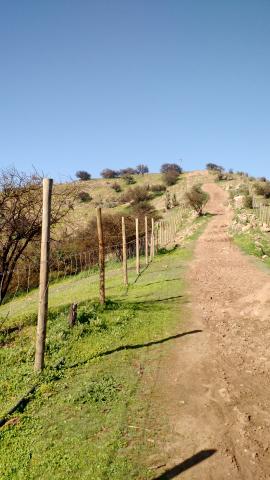 Fortaleza Incaica de Chena y sus contornos Imagen del monumento Fortaleza Incaica de Chena y sus contornos