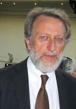 Imagen de Director del Museo Nacional de Bellas Artes