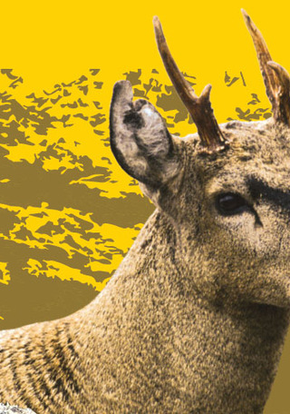 imagen imagen_portada.jpg