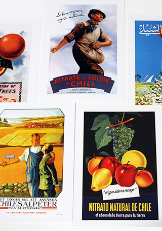 Algunos de los bellos afiches.